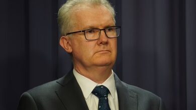 Tony Burke étend ses pouvoirs pour gérer les non-citoyens dangereux en Australie